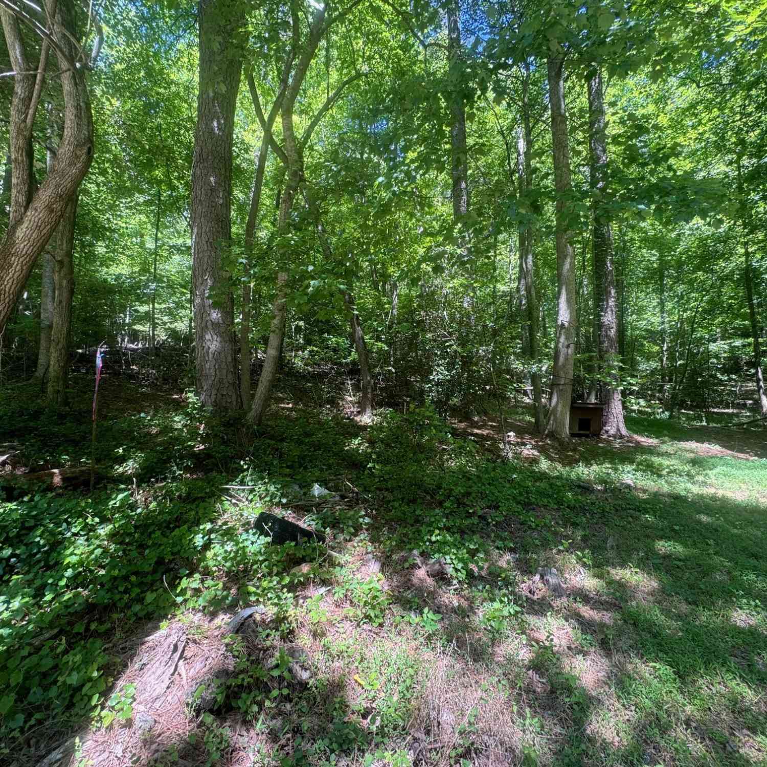 Vacant Land For Sale - Bible Baptist<br/> Ellijay, GA 30536