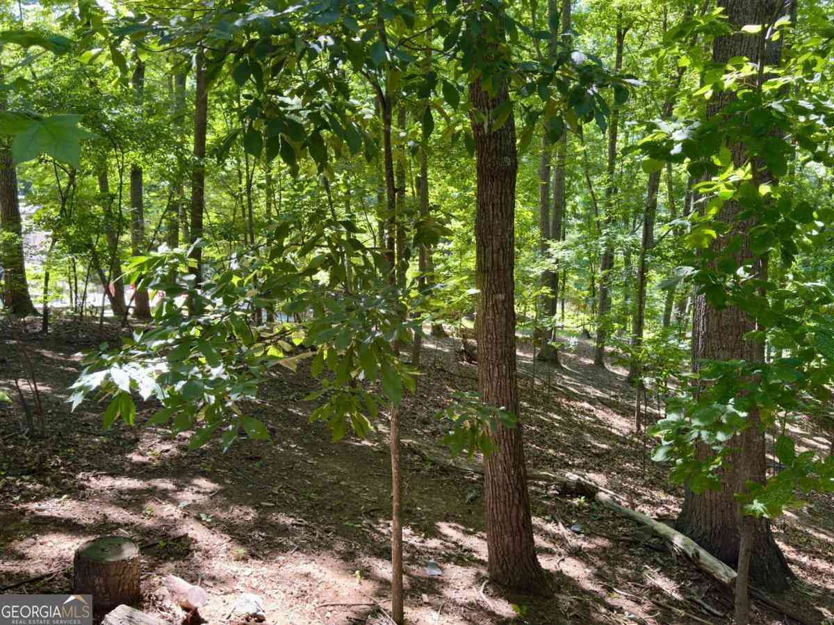 Vacant Land For Sale - Bermuda Lane<br/> Flowery Branch, GA 30542