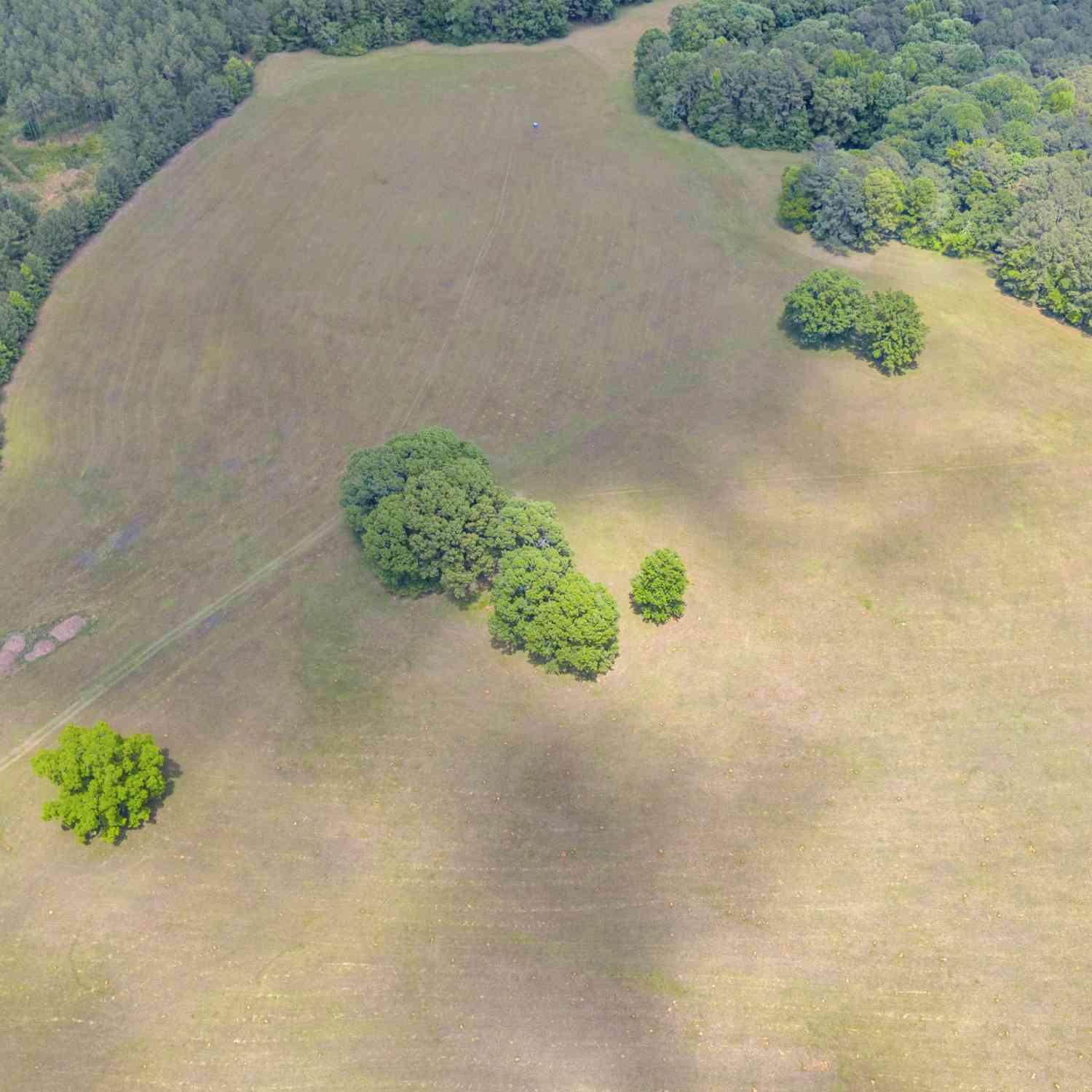 Vacant Land For Sale - 0 LOT A Pitts Chapel Road<br/> Monticello, GA 31064