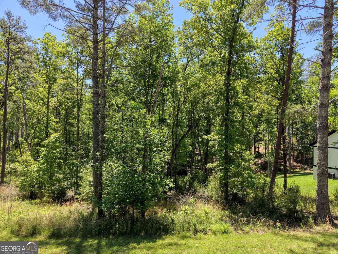 Vacant Land For Sale - LOT 167 Highland Park<br/> Union County, Blairsville, GA 30512