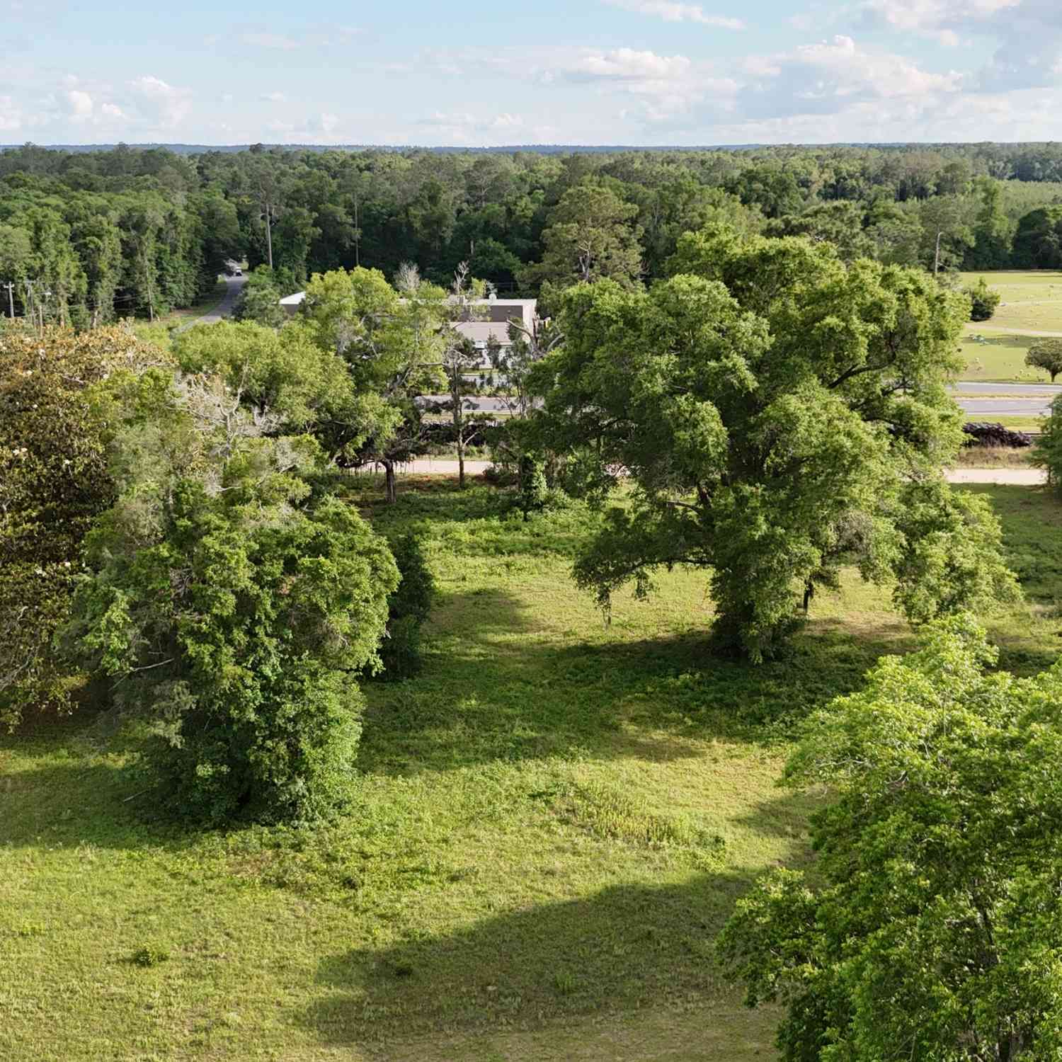 Vacant Land For Sale - .75 ACRE Butler Street<br/> Bainbridge, GA 39817