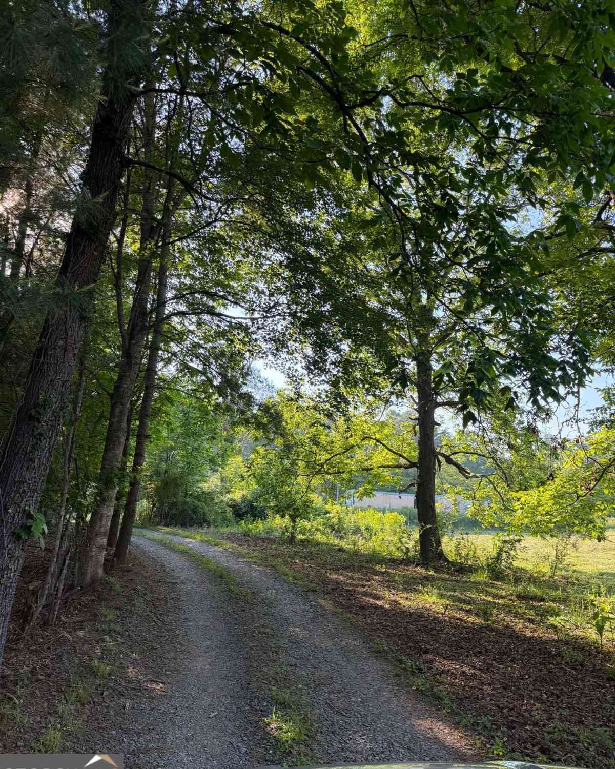 Vacant Land For Sale - Mountain Road<br/> Morganton, GA 30560