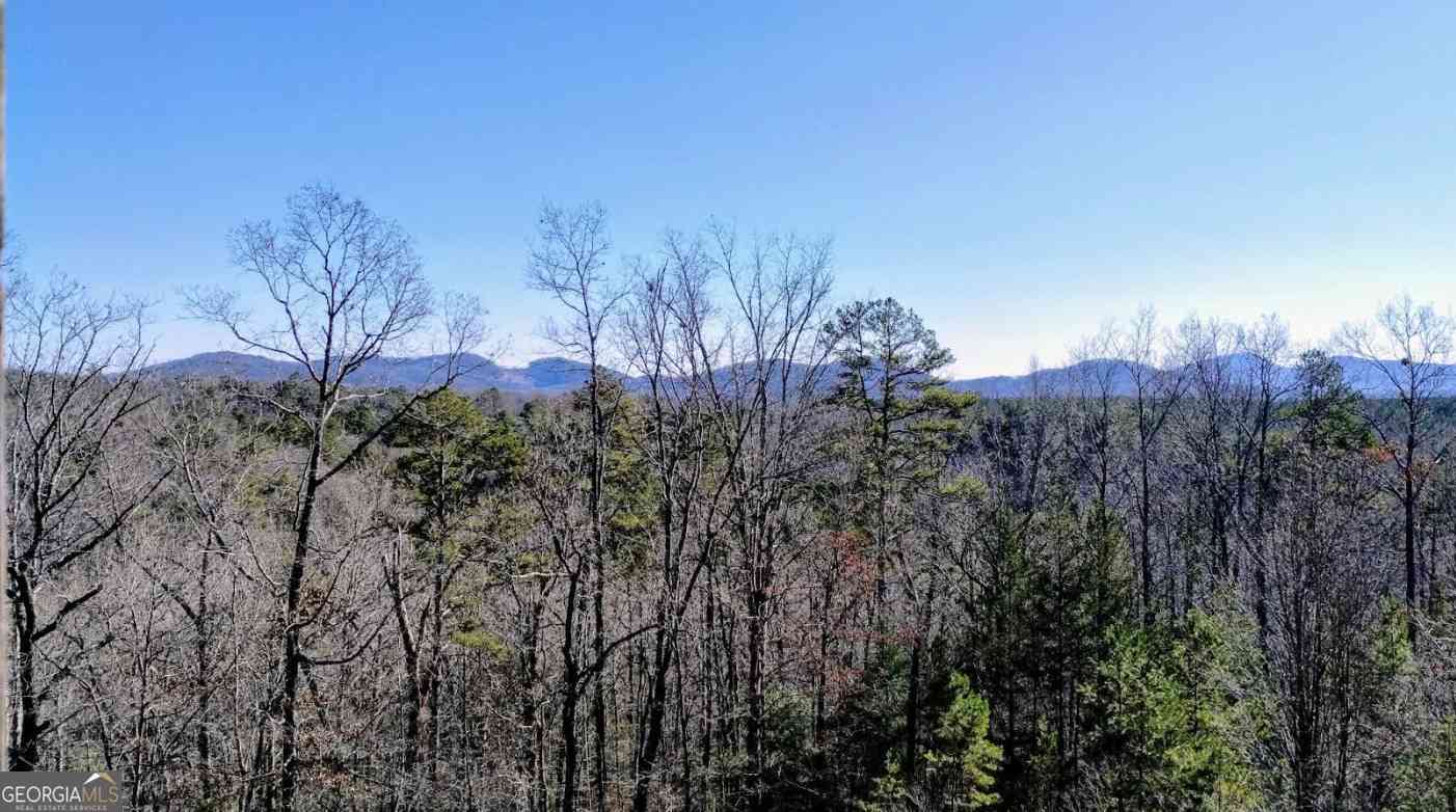 Vacant Land For Sale - Martin Drive<br/> Cleveland, GA 30528