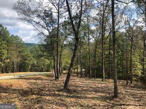 Vacant Land For Sale - LT 90 Barrel Knot Court<br/> Ellijay, GA 30536