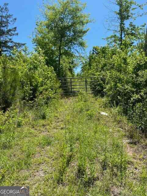 Vacant Land For Sale - 1730 N Walkers Mill Road<br/> Spalding County, Griffin, GA 30223