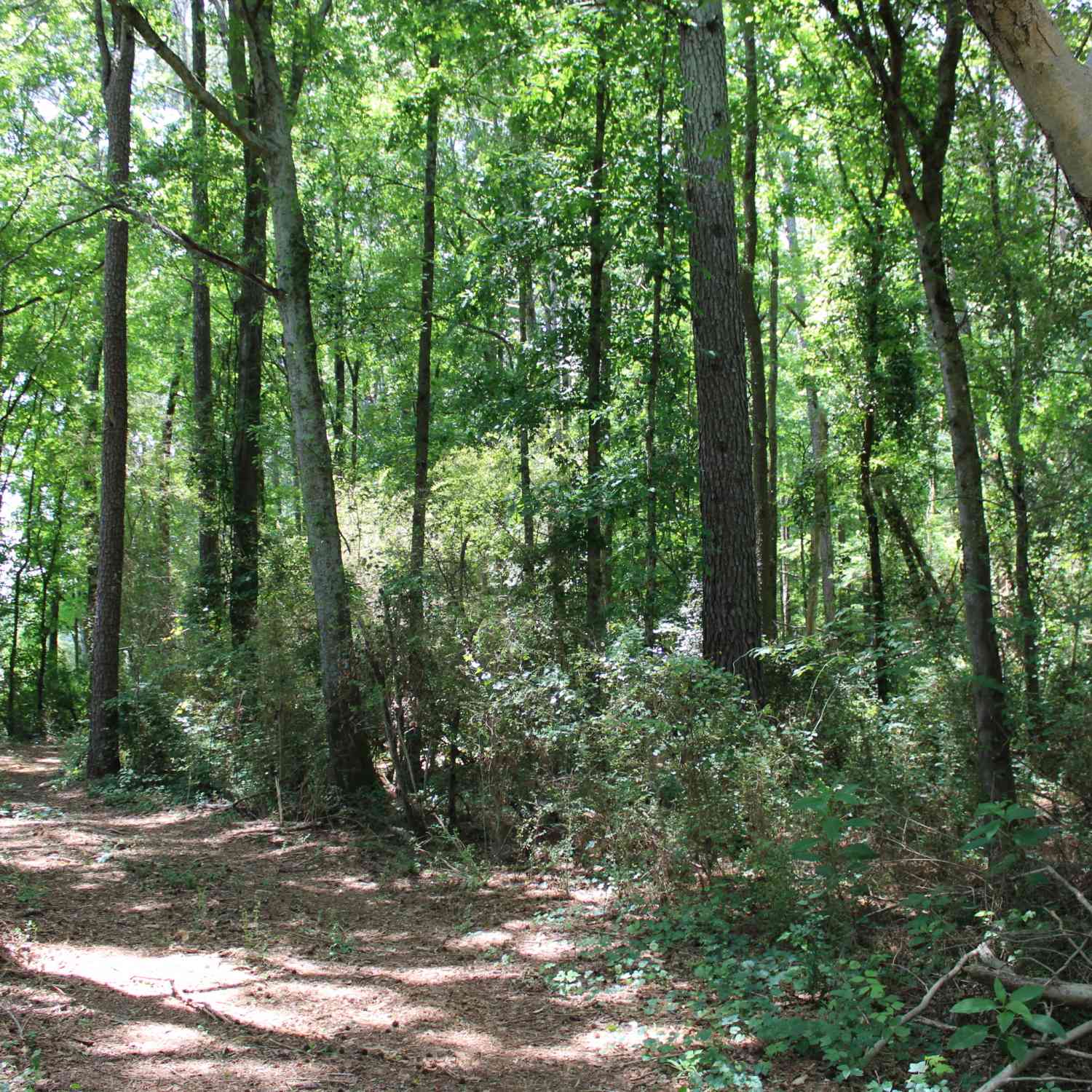 Vacant Land For Sale - 1 Neese Commerce Road<br/> Commerce, GA 30529