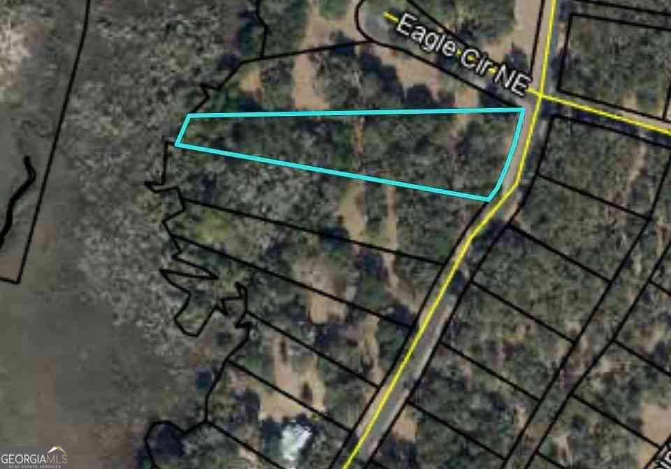 Vacant Land For Sale - LOT 241 Coopers Landing Drive NE<br/> Townsend, GA 31331