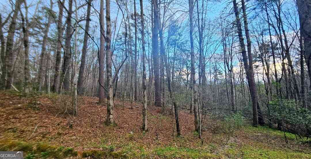 Vacant Land For Sale - 481 Mckay Road<br/> Rabun County, Lakemont, GA 30552