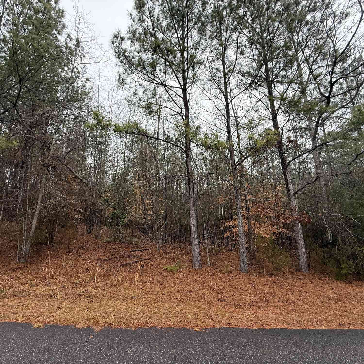 Vacant Land For Sale - 2592 Omaha Drive<br/> Elbert County, Elberton, GA 30635