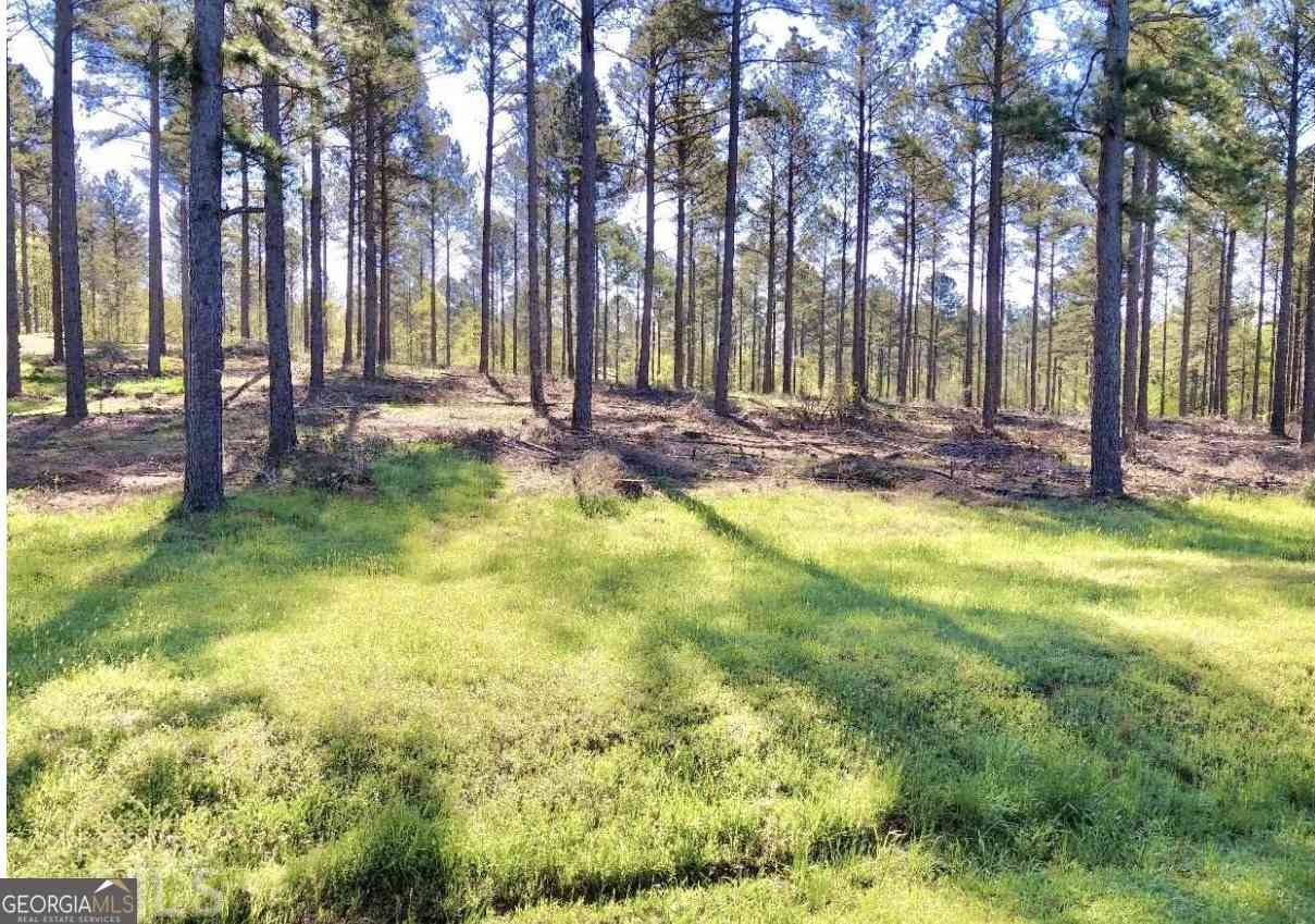 Vacant Land For Sale - Speed Lane<br/> Madison, GA 30650