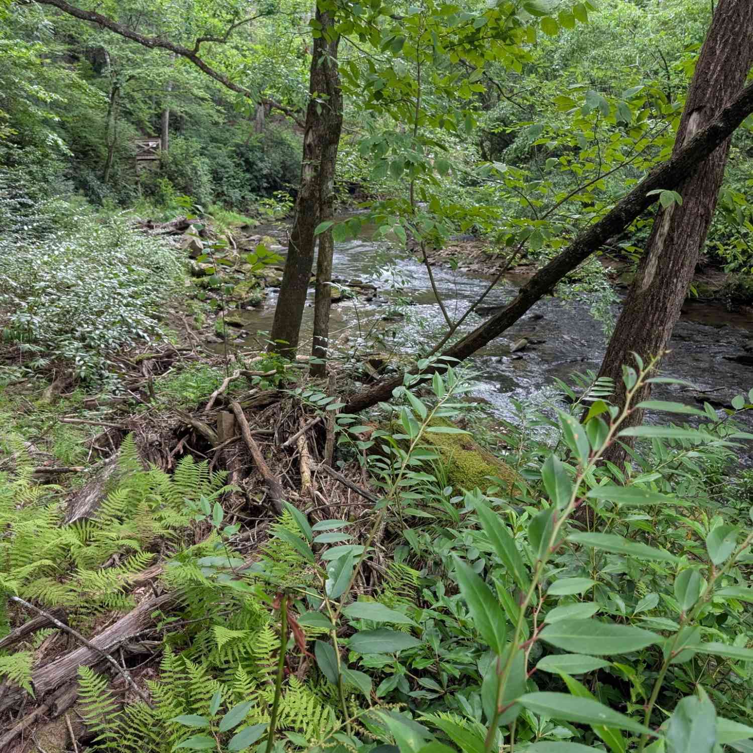 Vacant Land For Sale - LOT 32 Byers Road<br/> Union County, Blairsville, GA 30512