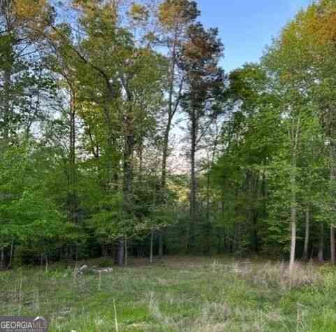 Vacant Land For Sale - 1628 Alcovy Ridge Crossing Crossing<br/> Loganville, GA 30052