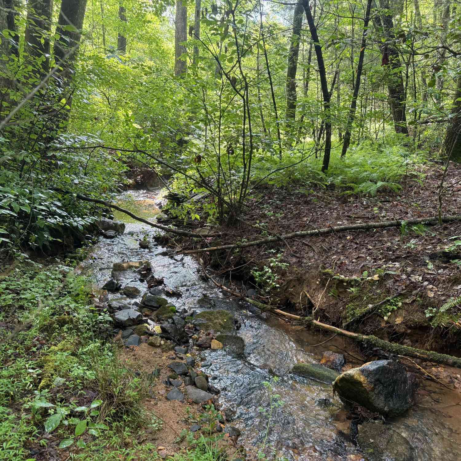 Vacant Land For Sale - LOT 9 Peach Orchard Way<br/> Tiger, GA 30576