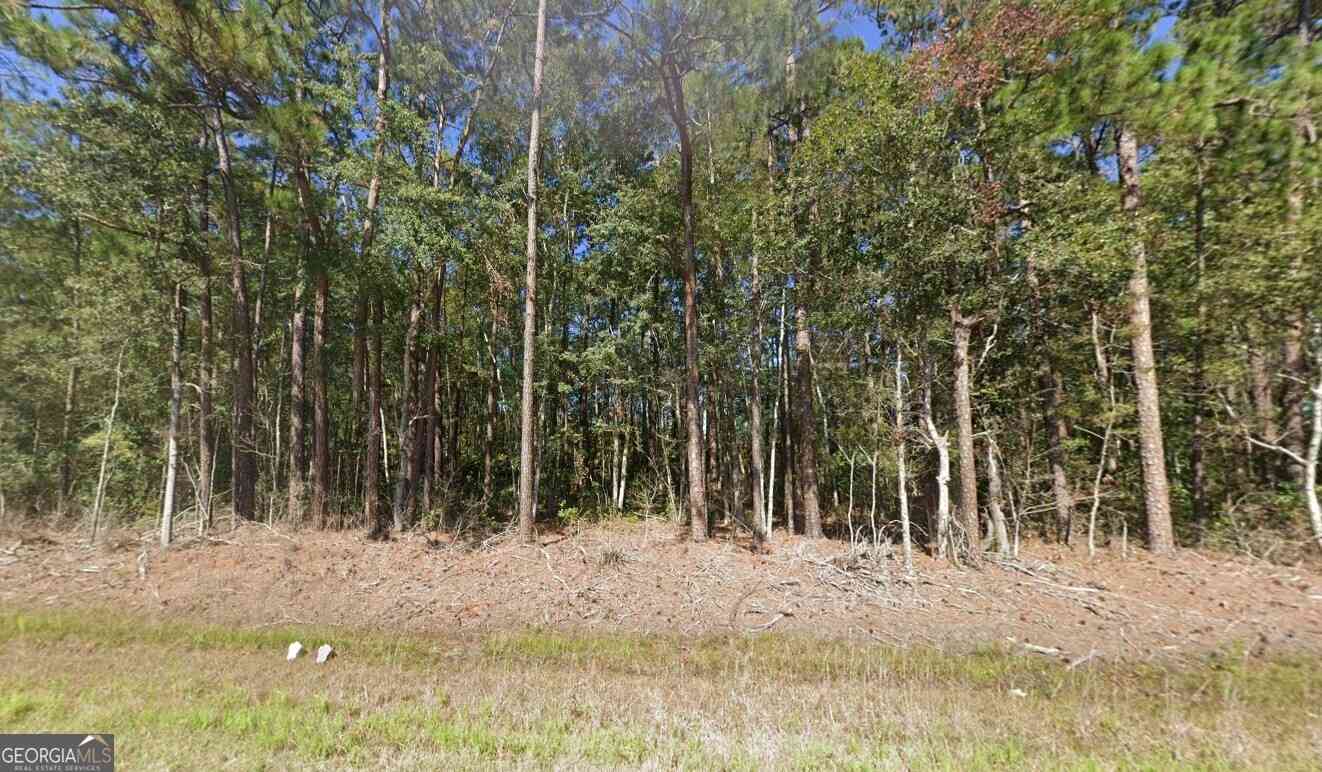 Vacant Land For Sale - 5201 Highway 32<br/> Hortense, GA 31543