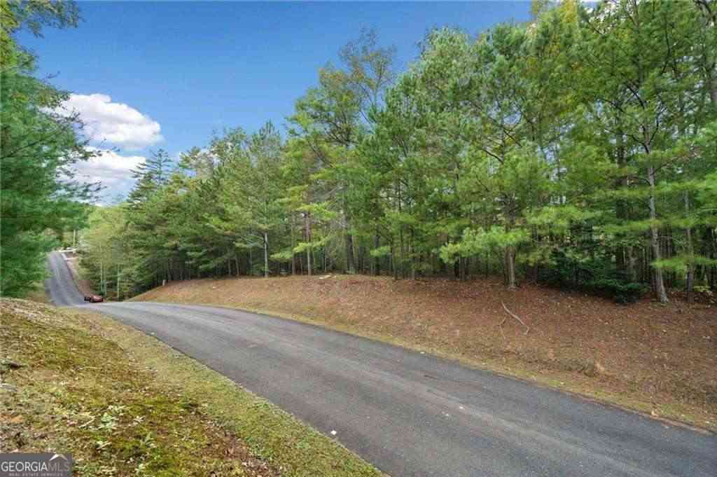 Vacant Land For Sale - Trout Line Court<br/> Talking Rock, GA 30175