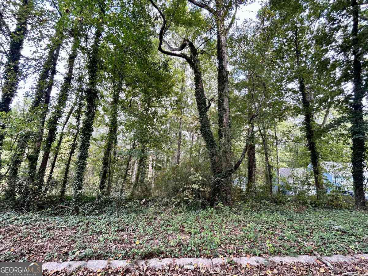 Vacant Land For Sale - 3291 Chesterfield Court<br/> Snellville, GA 30039