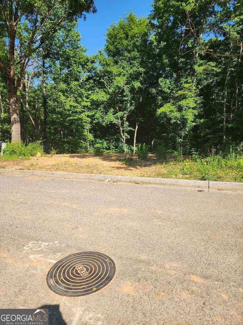 Vacant Land For Sale - 622 Katy Creek<br/> South Fulton, GA 30349