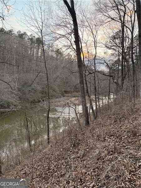 Vacant Land For Sale - Shady Grove Church Road<br/> Talking Rock, GA 30175