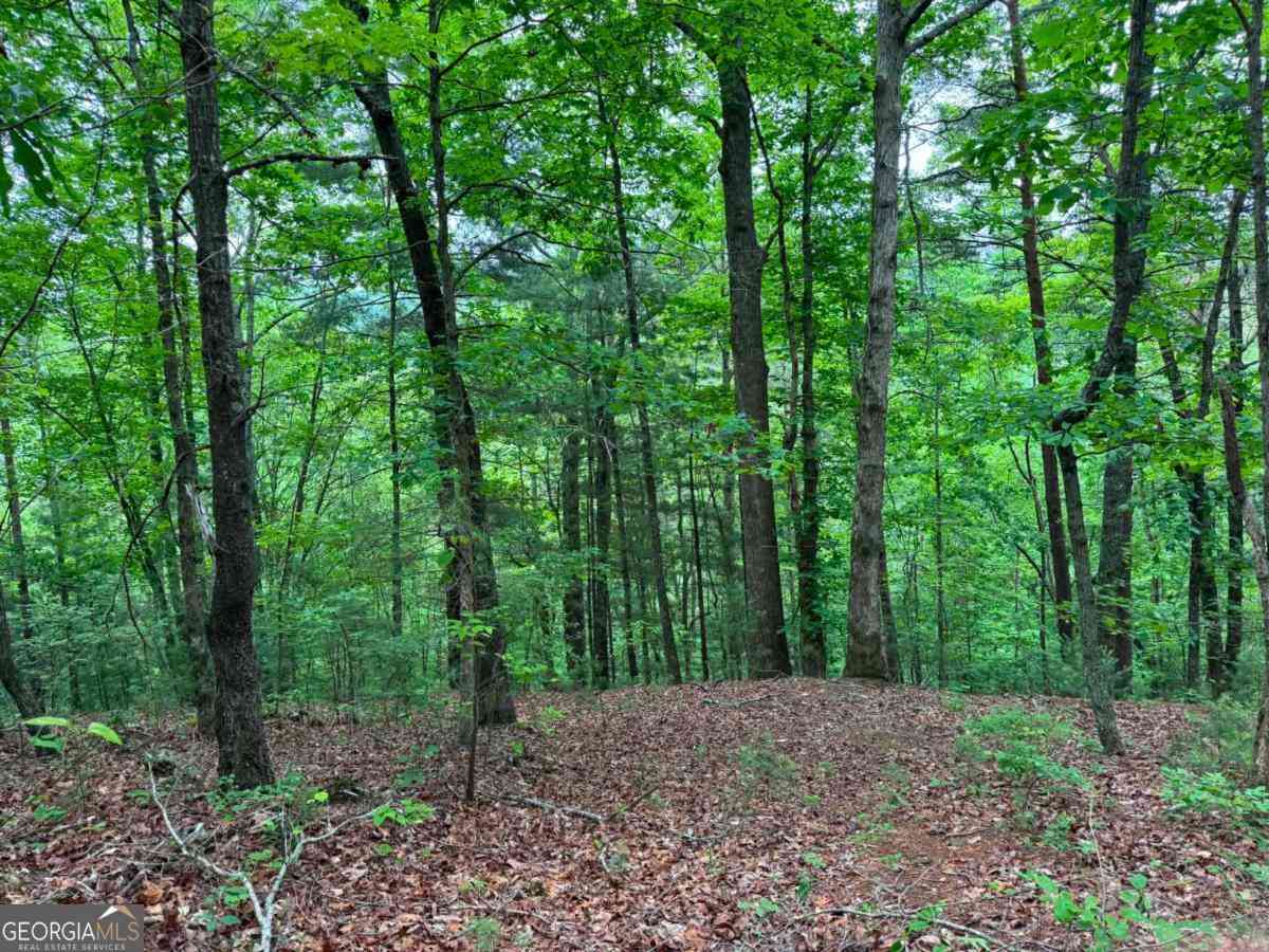 Vacant Land For Sale - 1674A Hunter Drive<br/> Ranger, GA 30734