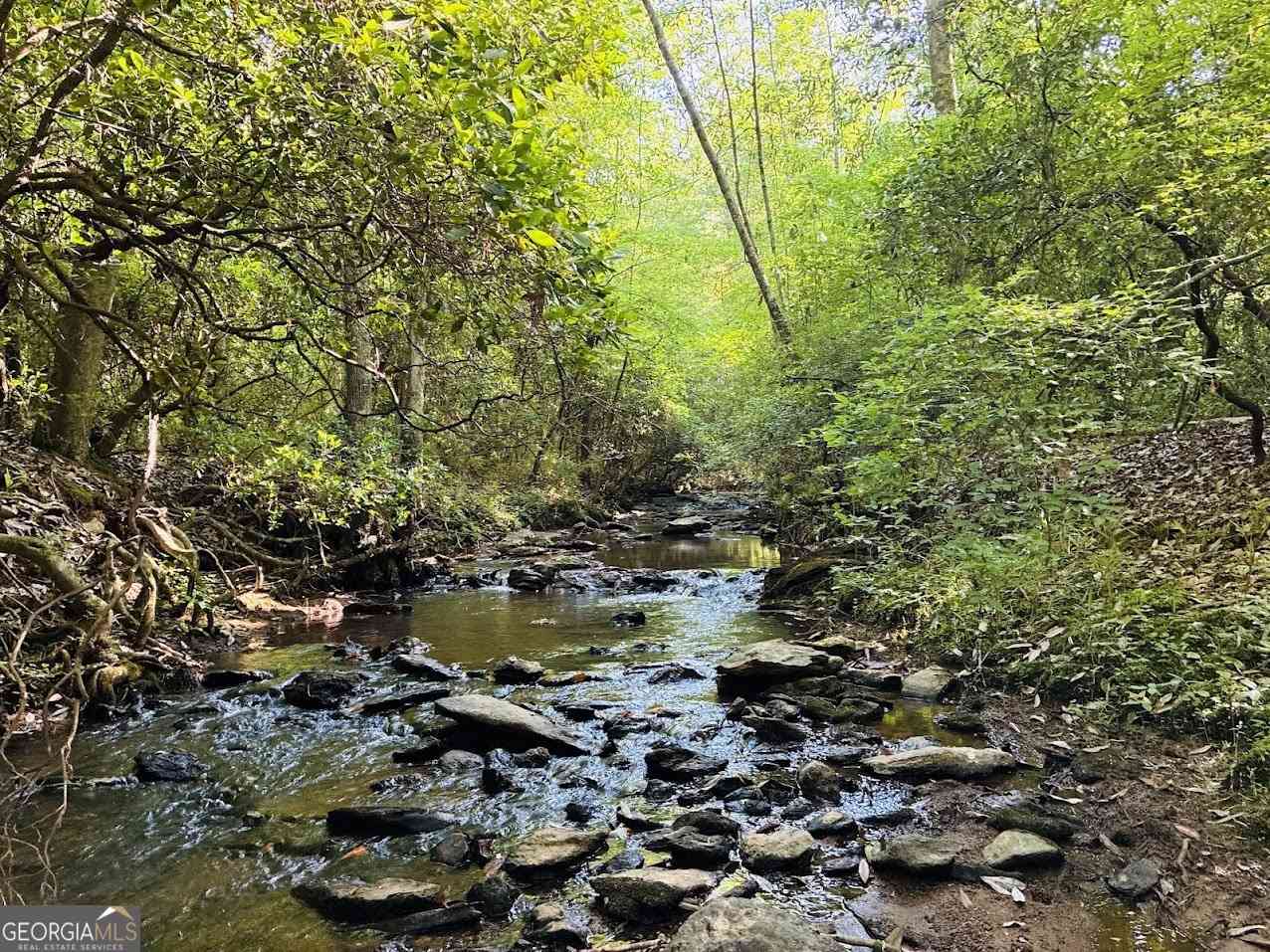 Vacant Land For Sale - Creek Road #LOT 3<br/> Ashland, AL 36251