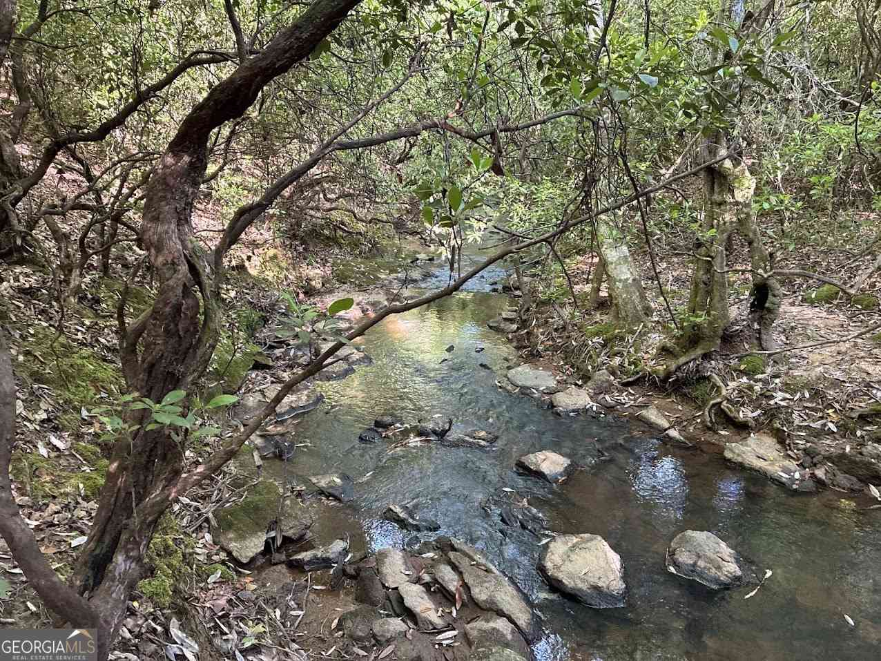Vacant Land For Sale - Creek Road #LOT 4<br/> Ashland, AL 36251