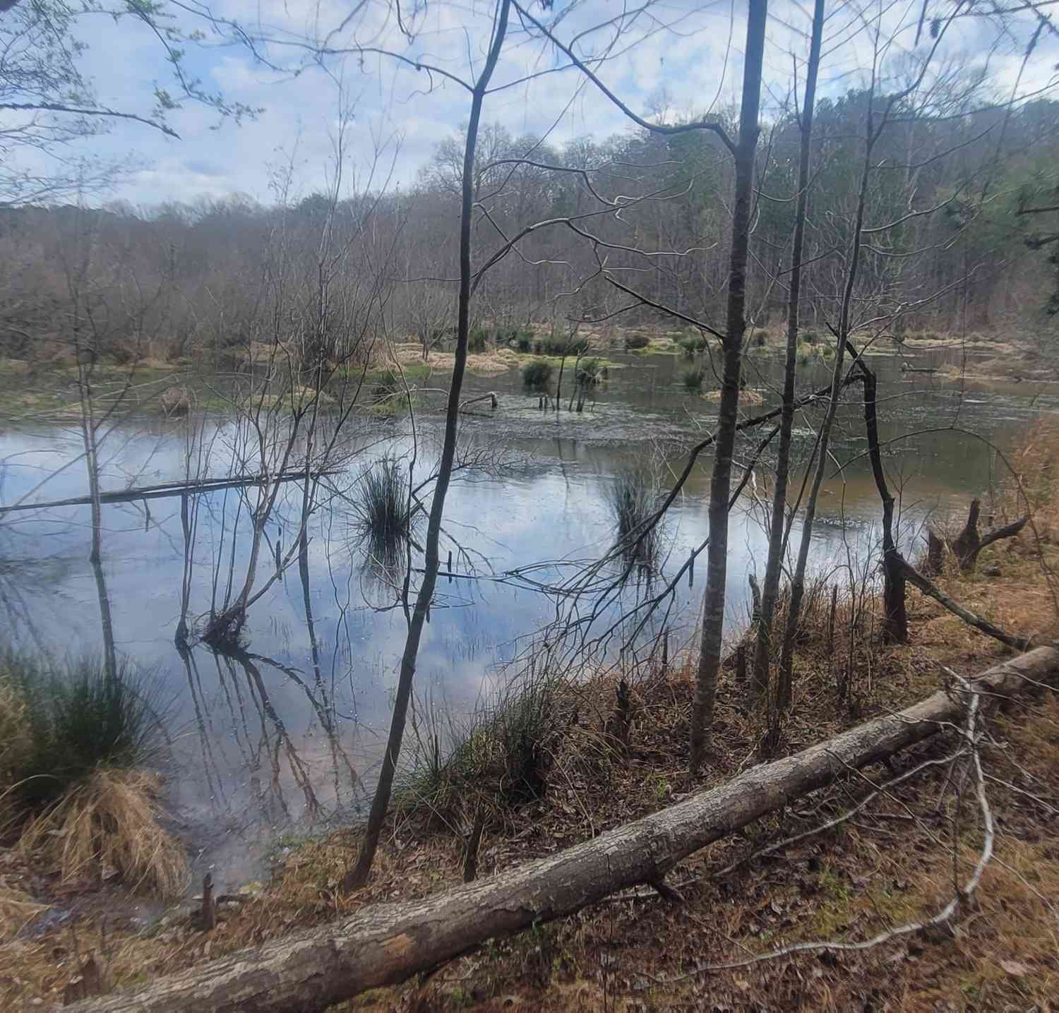 Vacant Land For Sale - 306 Patterson Road<br/> Spalding County, Griffin, GA 30223