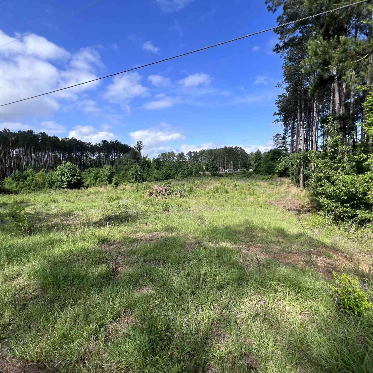 Vacant Land For Sale - Hunters Run<br/> Dublin, GA 31021