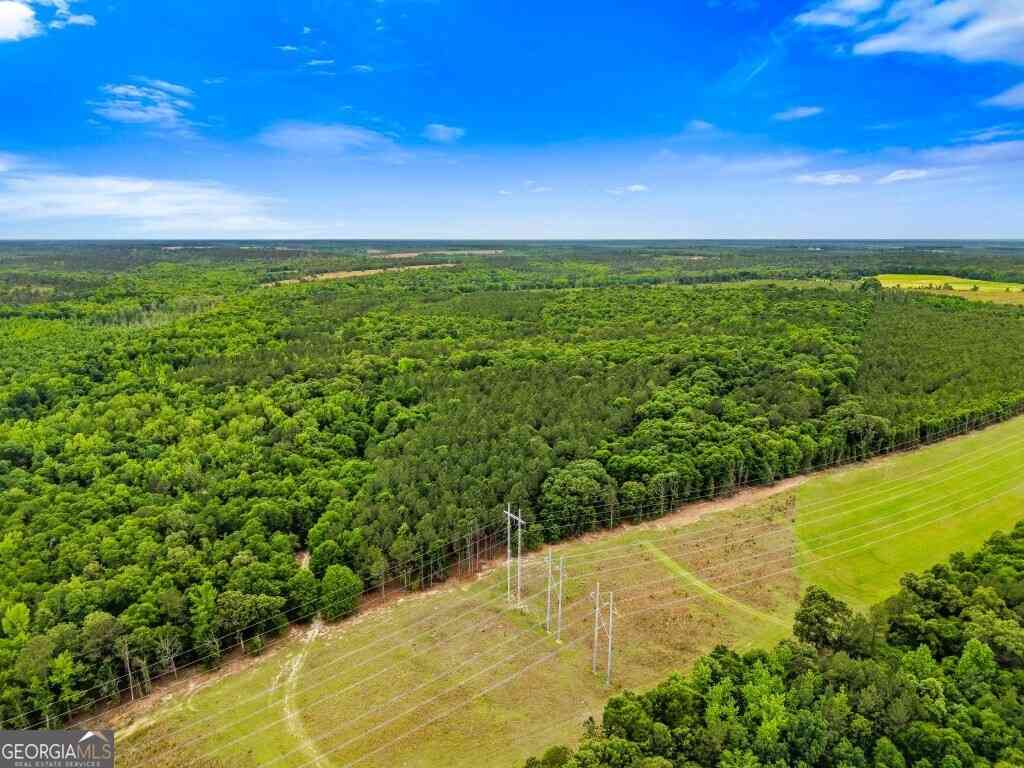 Vacant Land For Sale - River Road<br/> Waynesboro, GA 30830