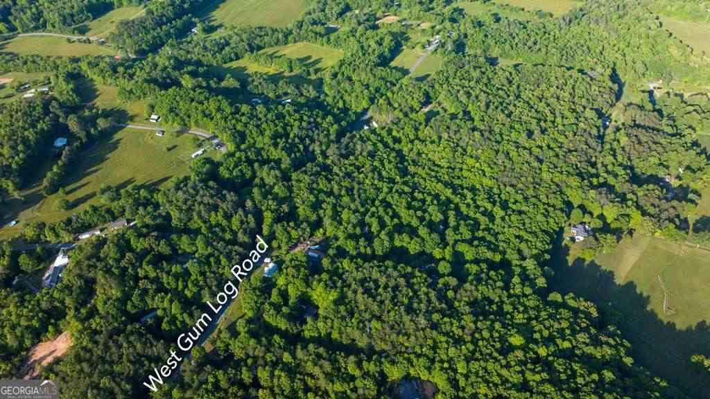 Vacant Land For Sale - TR 1&2 W Gum Log Road<br/> Warne, NC 28909