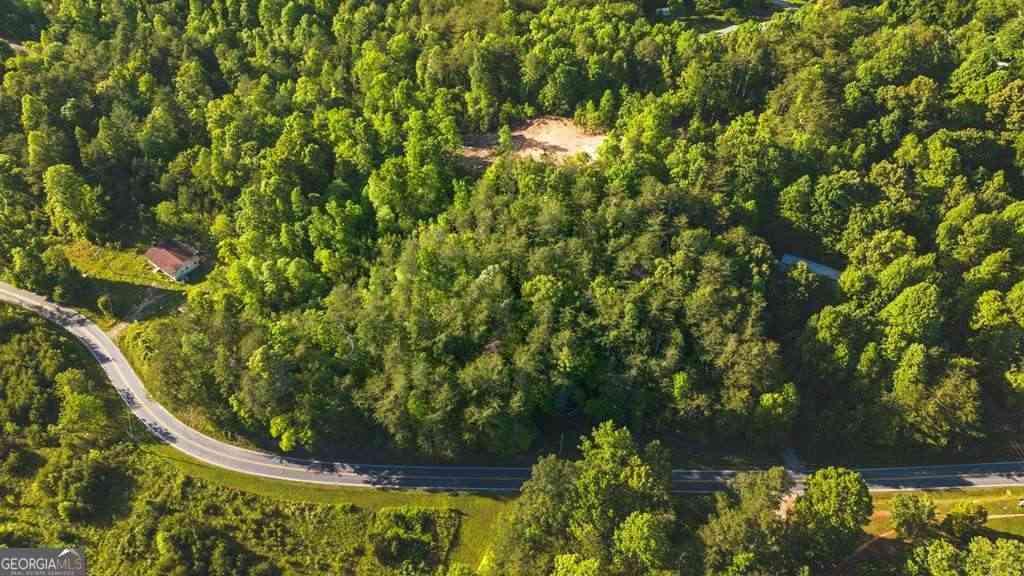 Vacant Land For Sale - TR 3 W Gum Log Road<br/> Warne, NC 28909