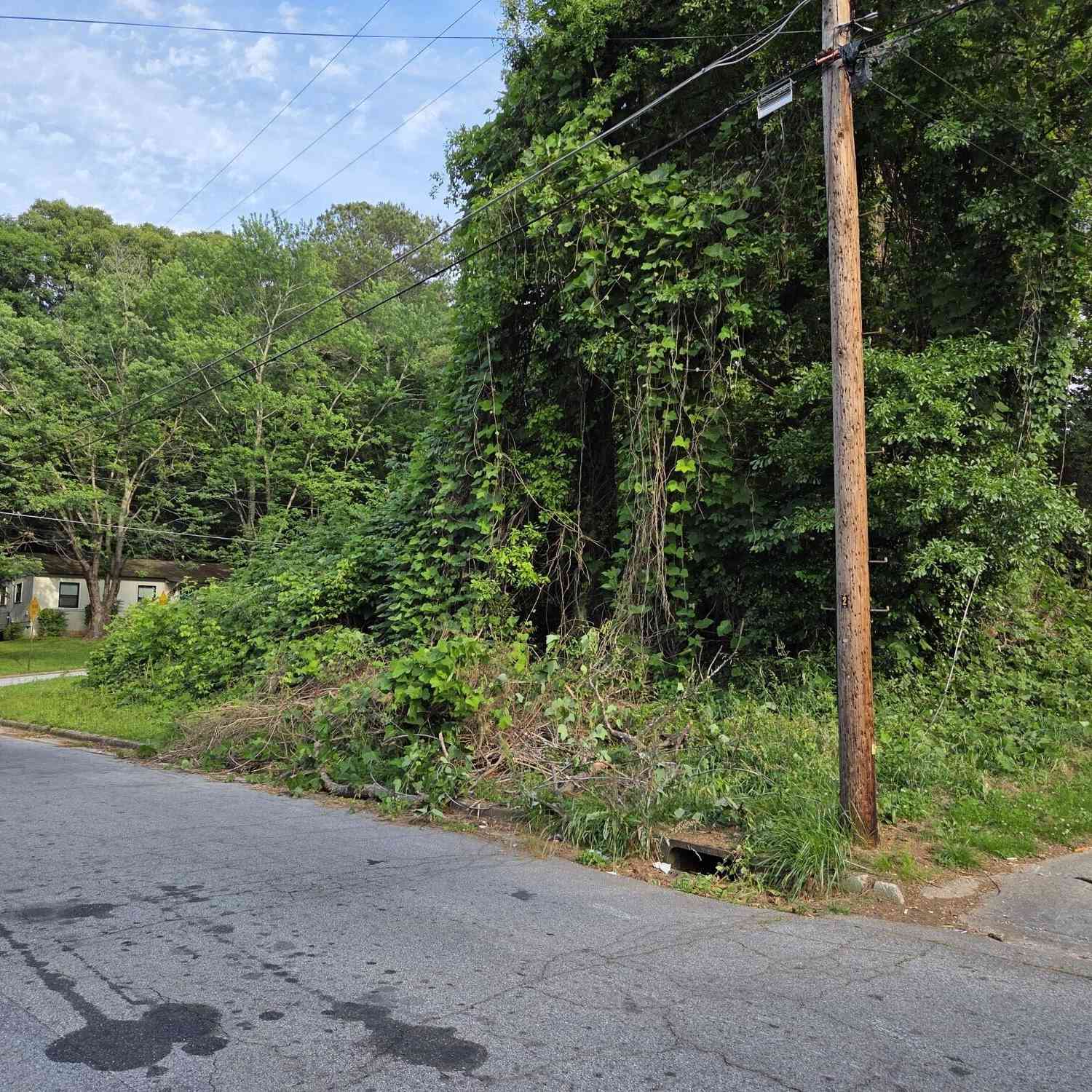 Vacant Land For Sale - 93 Finch Drive SE<br/> Atlanta, GA 30315