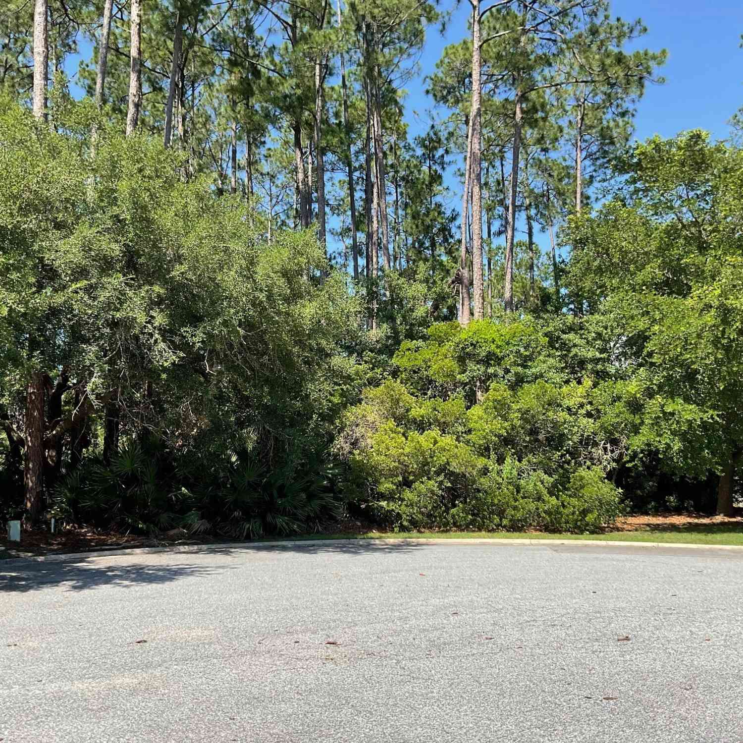 Vacant Land For Sale - 465 Millers Branch Drive<br/> Saint Marys, GA 31558