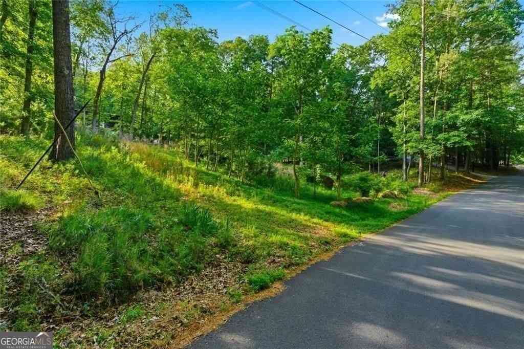 Vacant Land For Sale - 33 Yellow Hammer Drive SE<br/> Bartow County, White, GA 30184