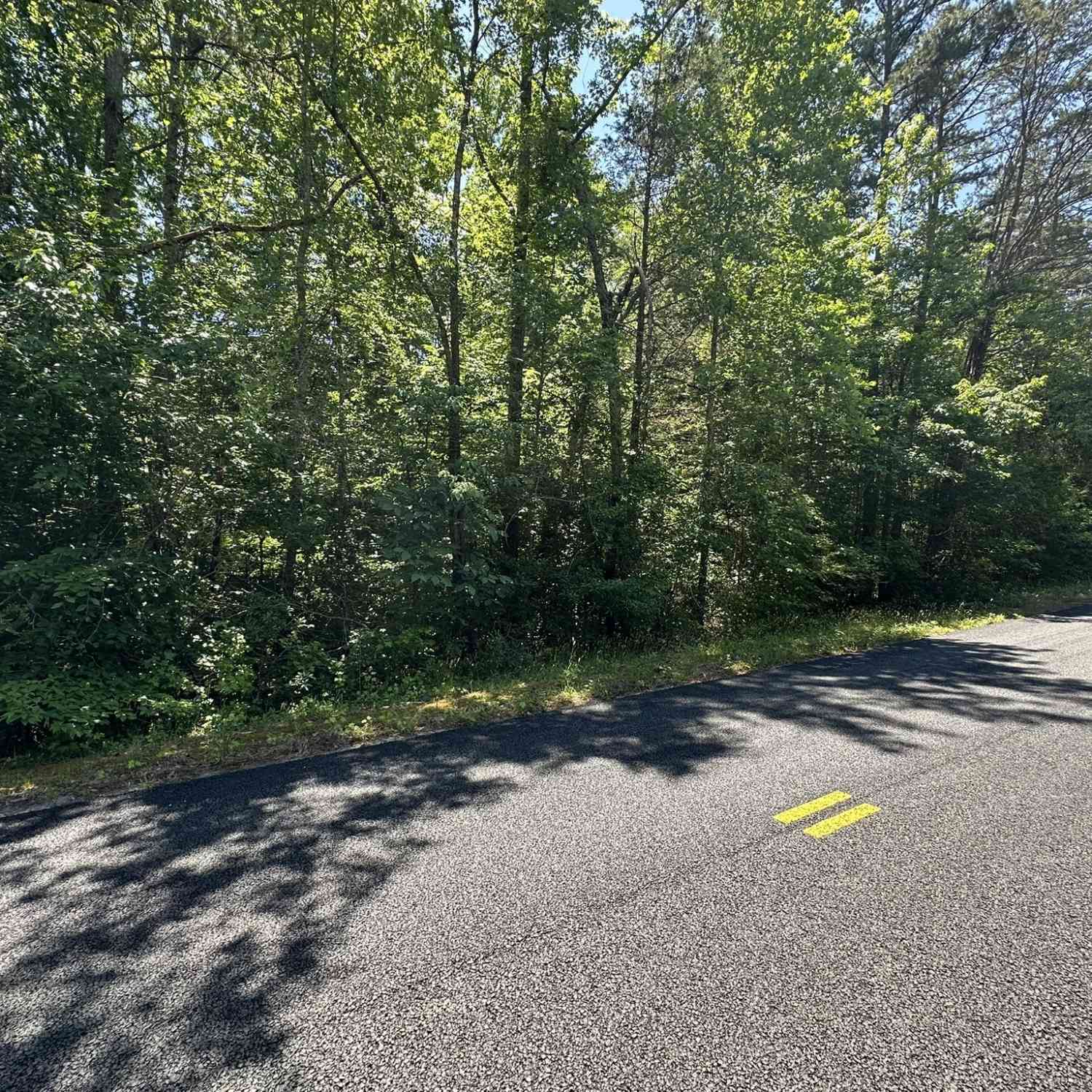 Vacant Land For Sale - 38 S Century Drive<br/> Martin, GA 30557