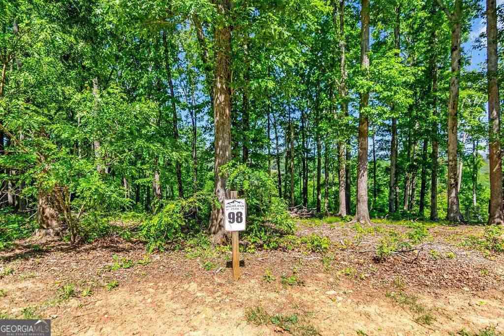 Vacant Land For Sale - LOT 98 Winding Ridge<br/> Union County, Blairsville, GA 30512