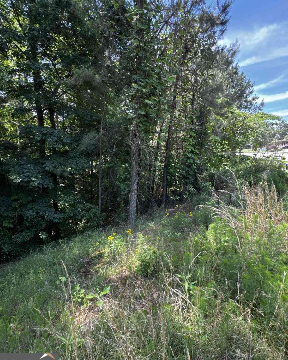 Vacant Land For Sale - 1465 Mineral Springs Road<br/> Hoschton, GA 30548