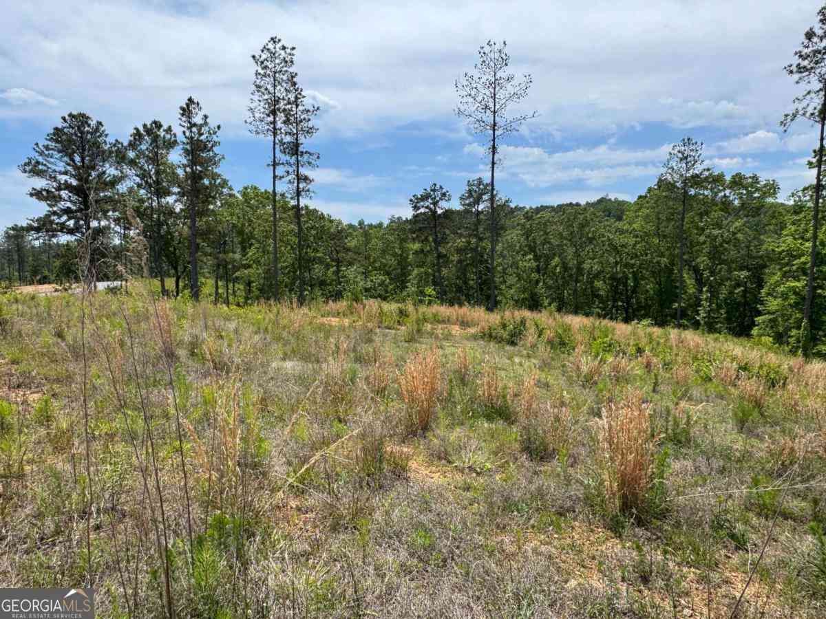 Vacant Land For Sale - LOT 243 Spear Point Drive<br/> Talking Rock, GA 30175