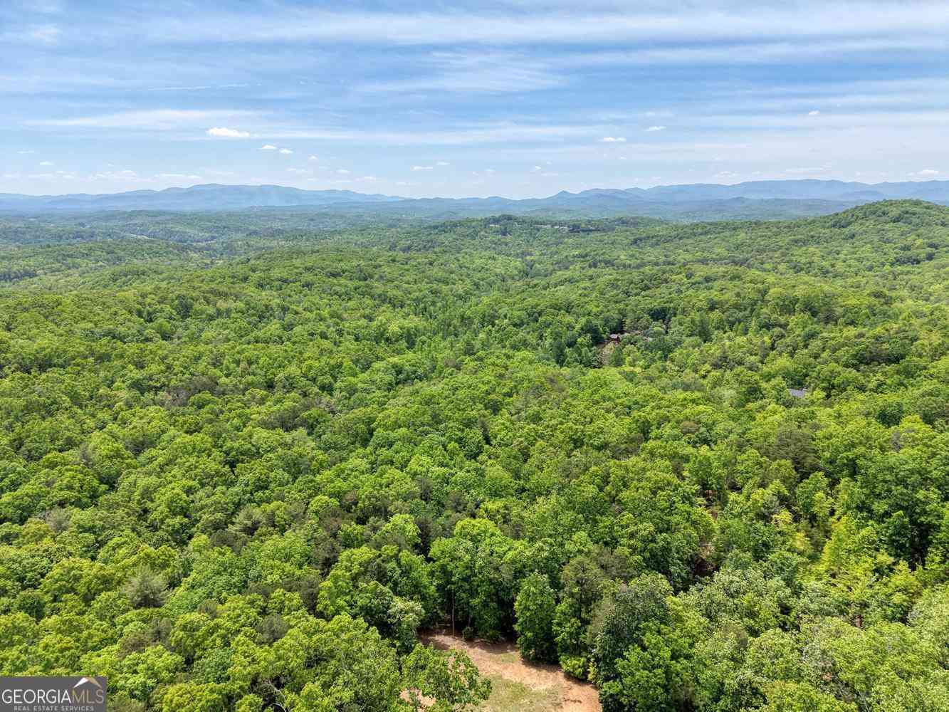 Vacant Land For Sale - 57.30 AC Stuart View<br/> Mineral Bluff, GA 30559