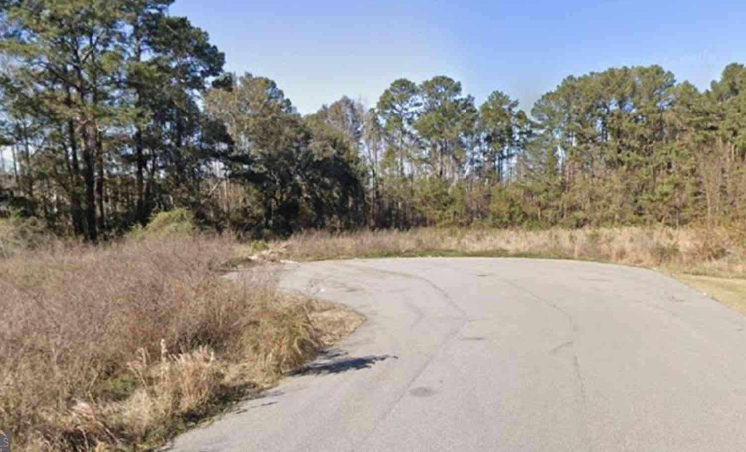 Vacant Land For Sale - 50 Wise Court<br/> Bryan County, Richmond Hill, GA 31324