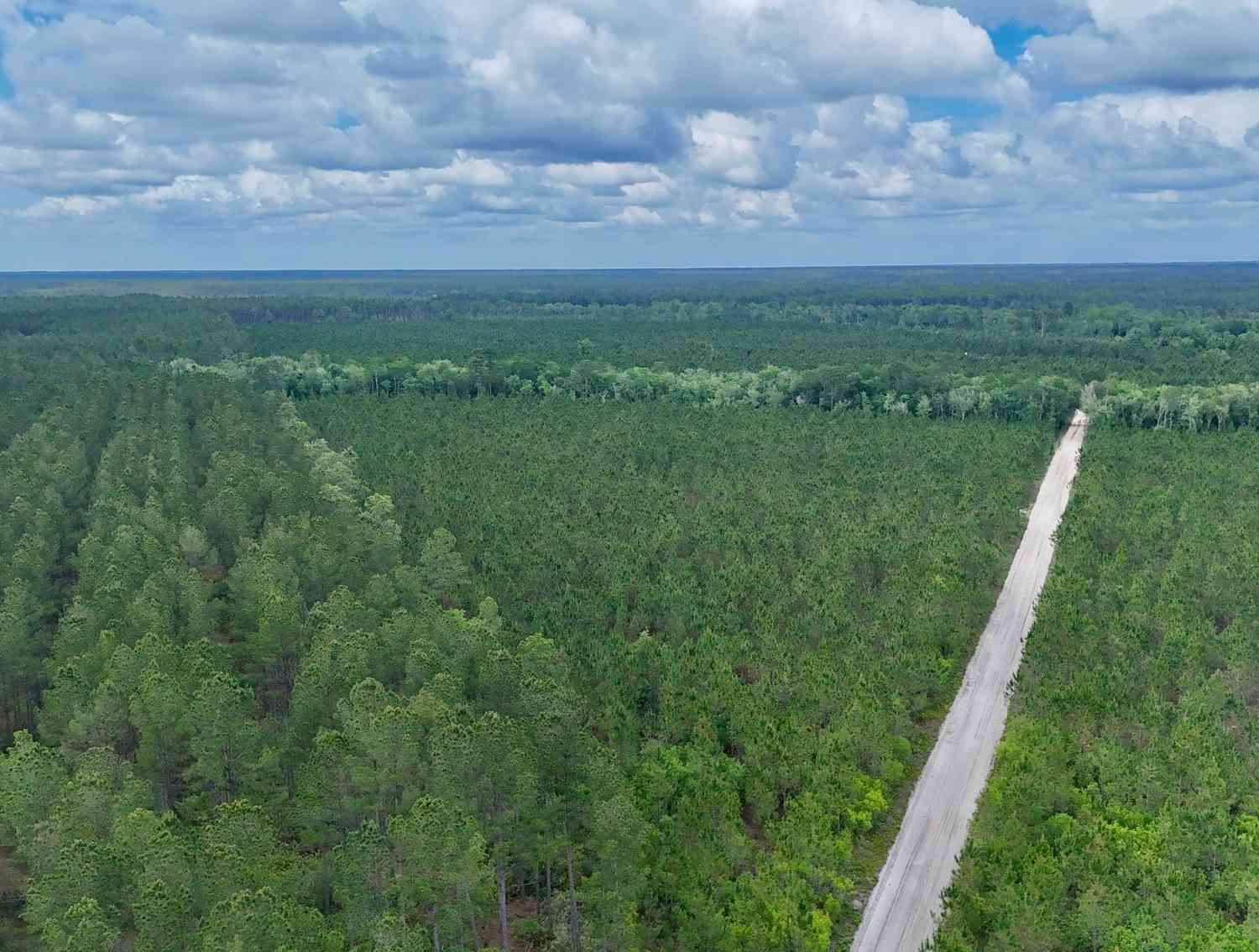 Vacant Land For Sale - 20 AC Owens Road<br/> Odum, GA 31555