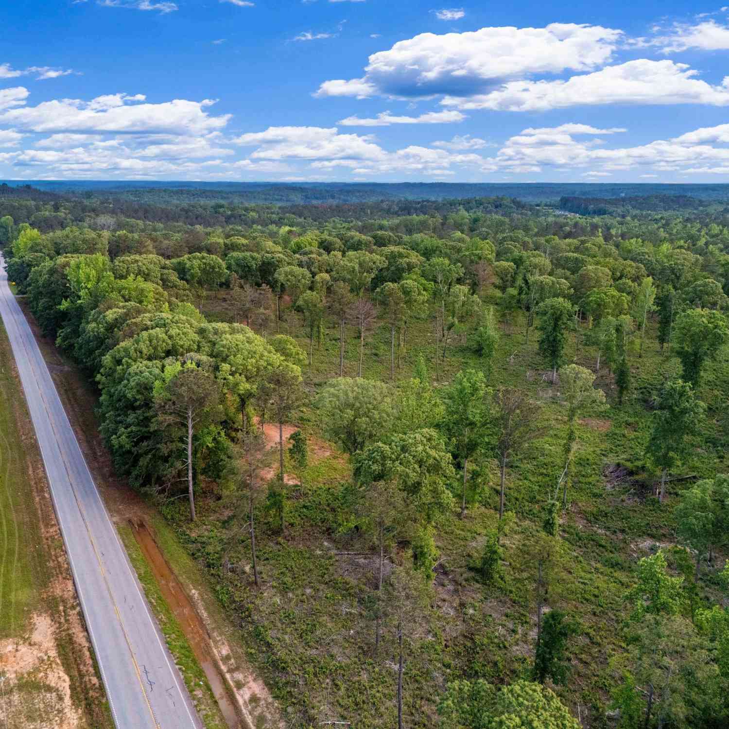 Vacant Land For Sale - Hwy 100<br/> Franklin, GA 30217