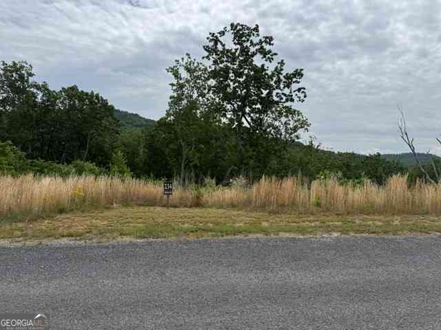 Vacant Land For Sale - LOT 234 Highgrove Drive<br/> Talking Rock, GA 30175
