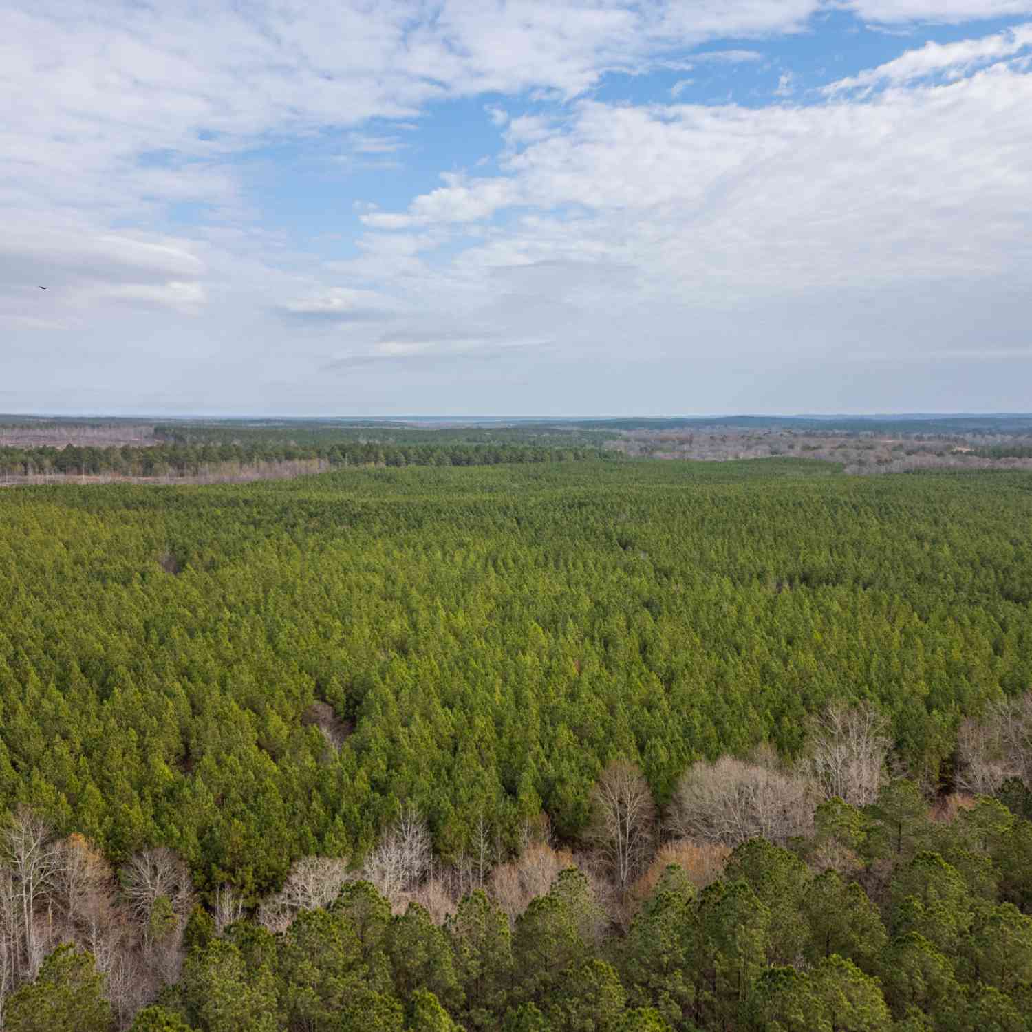 Vacant Land For Sale - 2 Smith Rocky Branch Road<br/> Carlton, GA 30627