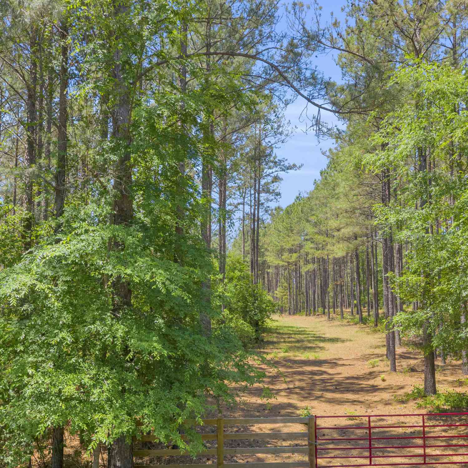 Vacant Land For Sale - Hidden Harbor Road<br/> Lincolnton, GA 30817