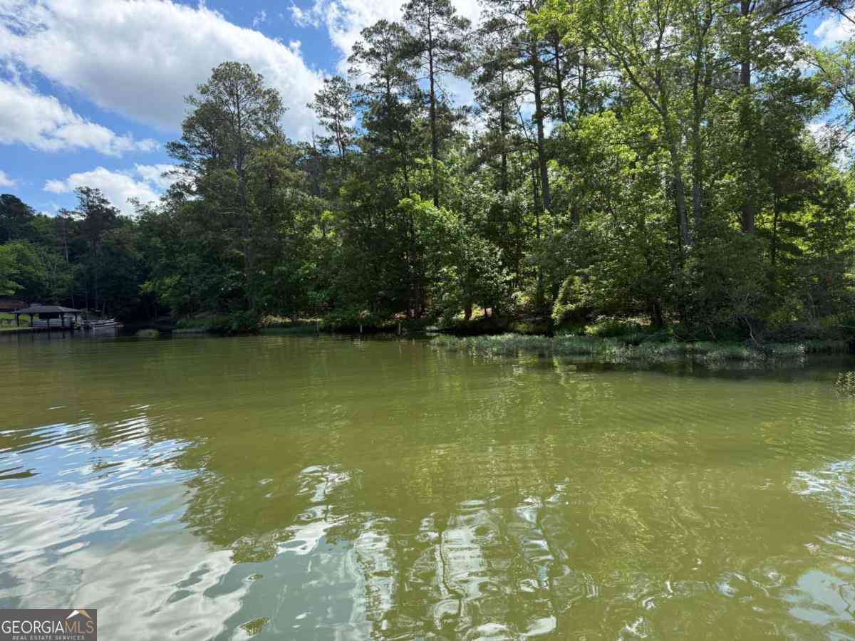 Vacant Land For Sale - Cedar Ridge Drive<br/> Hancock County, Sparta, GA 31087