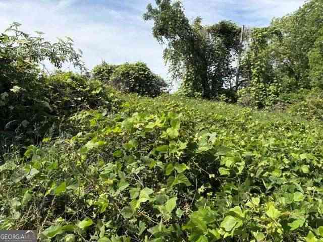 Vacant Land For Sale - 2110 Athens Street<br/> Gainesville, GA 30507