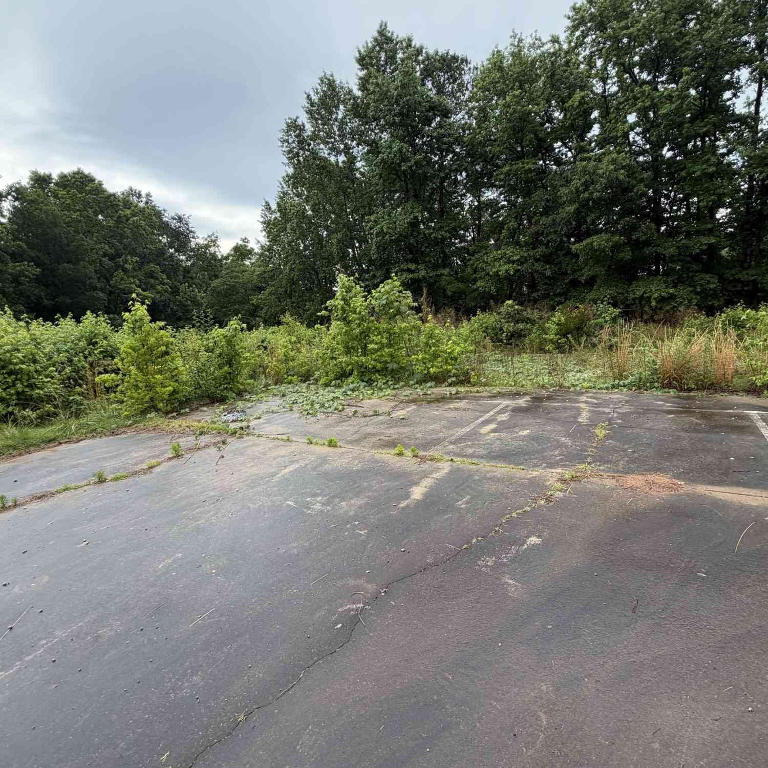 Vacant Land For Sale - 2934 Bridge Drive<br/> Gainesville, GA 30506