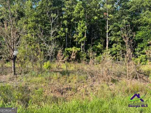 Vacant Land For Sale - 8641 Hopewell Road<br/> Bibb County, Lizella, GA 31052