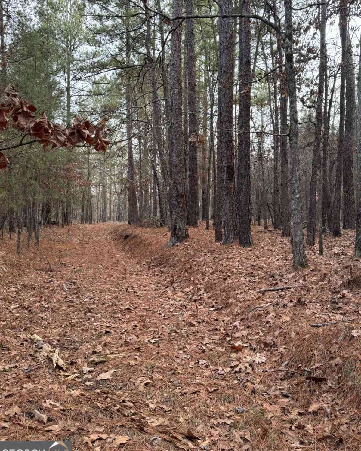 Vacant Land For Sale - 3744 Morton Bend Road<br/> Rome, GA 30161