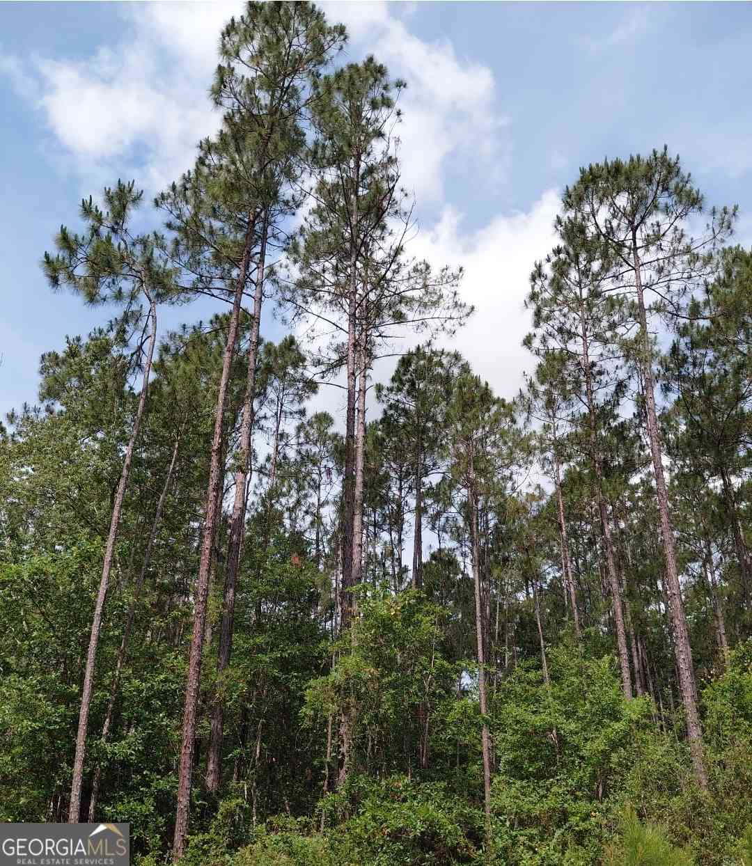 Vacant Land For Sale - 339 Doc Rider Road<br/> Folkston, GA 31537